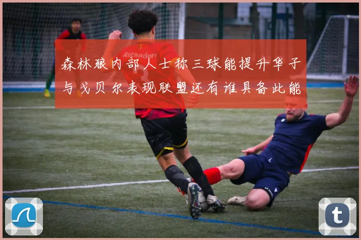 森林狼内部人士称三球能提升华子与戈贝尔表现联盟还有谁具备此能力